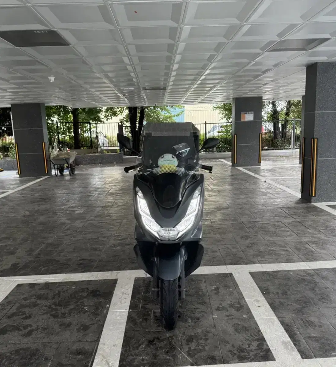 PCX125 2022년식 44,@@@km 판매